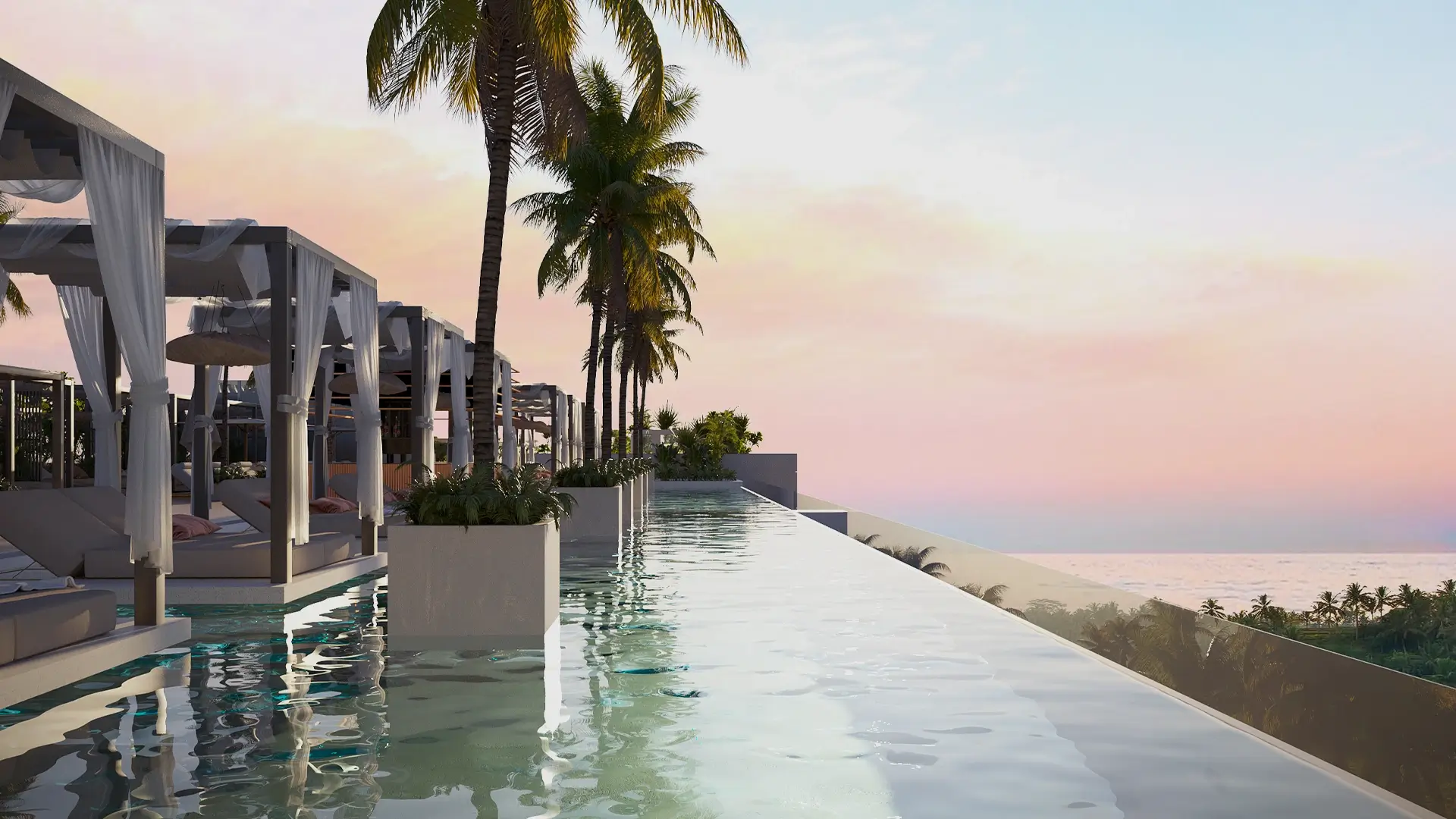 new complex gallery no5