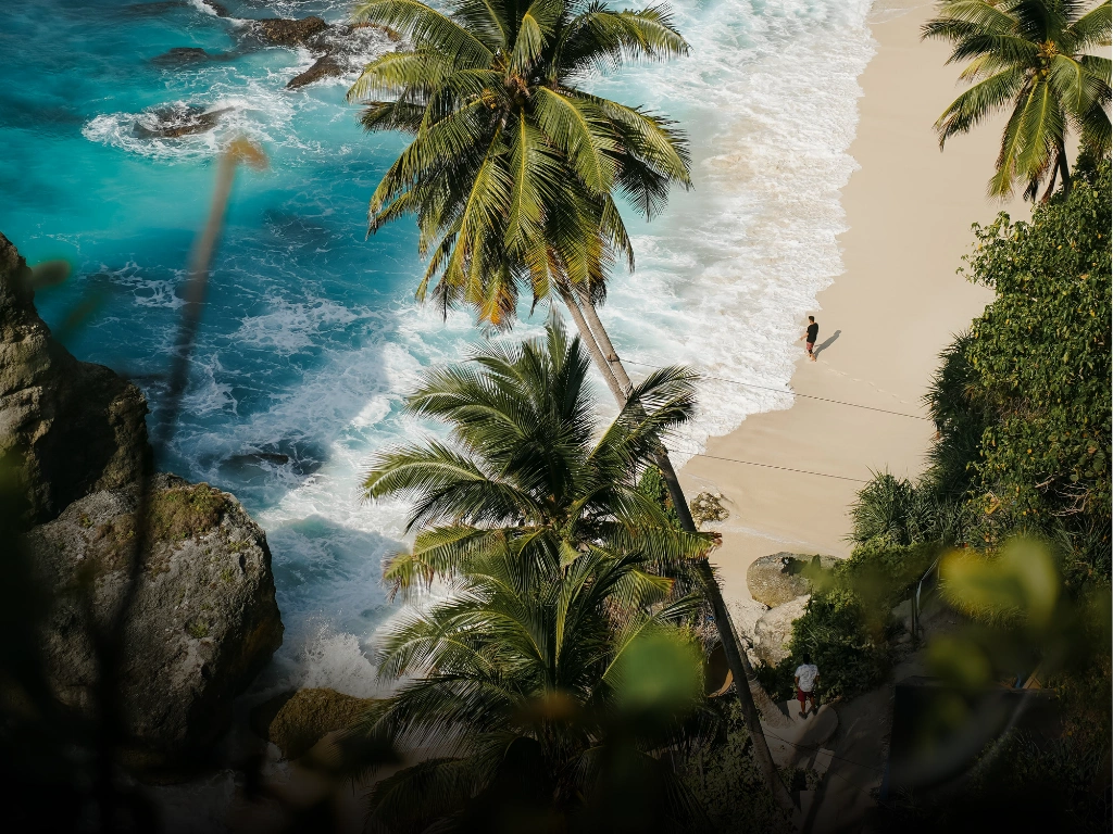 According to data from Indonesia’s Central Bureau of Statistics (Bali Province), international arrivals in 2025 consistently outperform 2024 across most months.
Key Trends Investors Should Pay Attention To
Steady year-on-year growth throughout the year
Clear peak season concentration between June and August, with July as the highest month
Strong visitor numbers even outside traditional peak periods

This pattern confirms that Bali has moved beyond recovery and into sustained tourism growth, which is essential for long-term property investment stability.

Why Tourism Demand in Bali Continues to Grow
