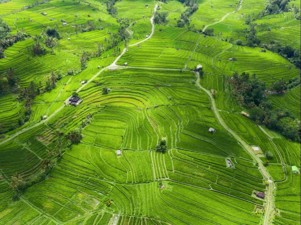 The Path of Indonesia’s Economic Growth to Rank 4th Globally by 2050